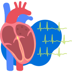 Cardiologist